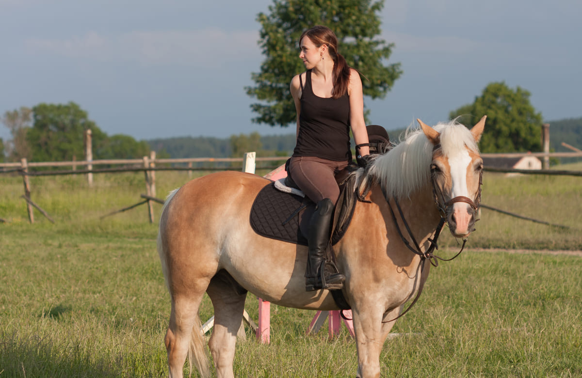 Antermejes Chalet | Horseback riding